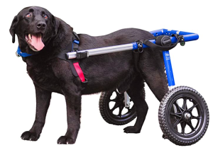 Walkin' Wheels Dog Wheelchair