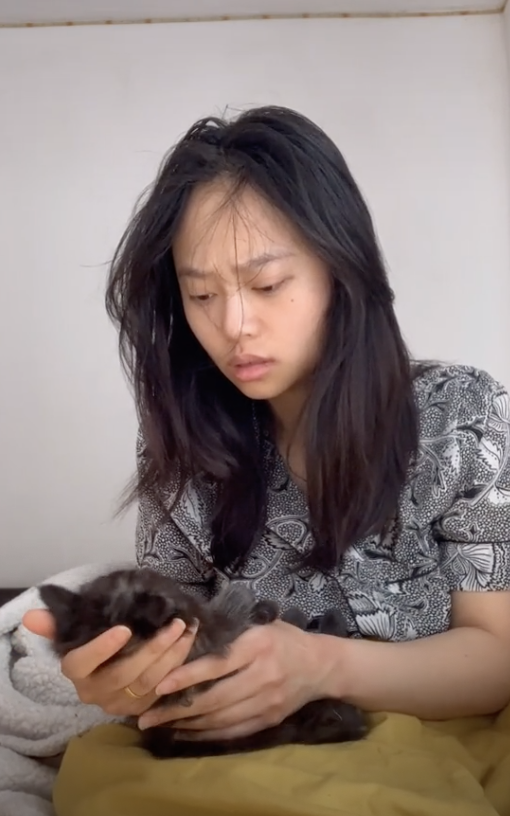 tiktok user thinks cats dead