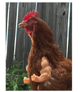 Chicken Fist Arms