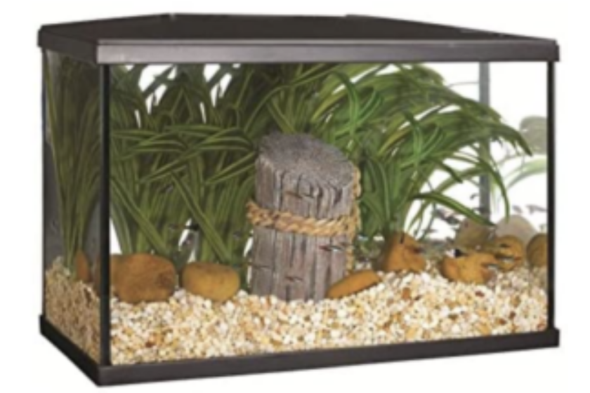 marina LED 5-gallon fish tank kit