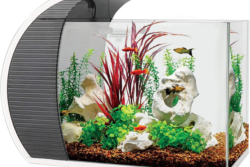 hygger 5-gallon fish tank on white background