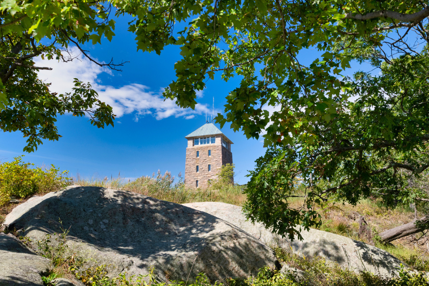 peeking through branches at perkins memorial tower at bear mountain state park