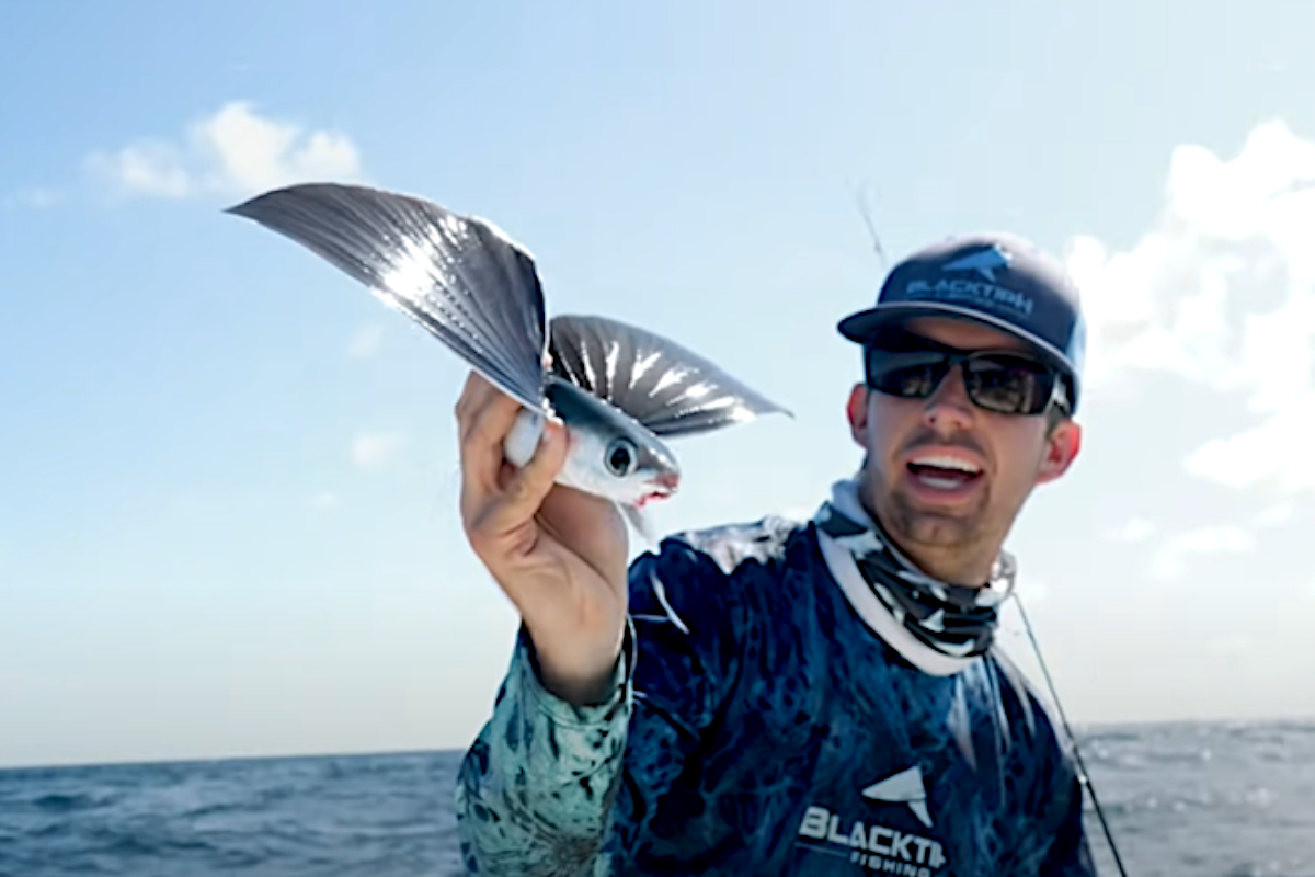Angling for Flying Fish Makes for a Unique Experience in Florida