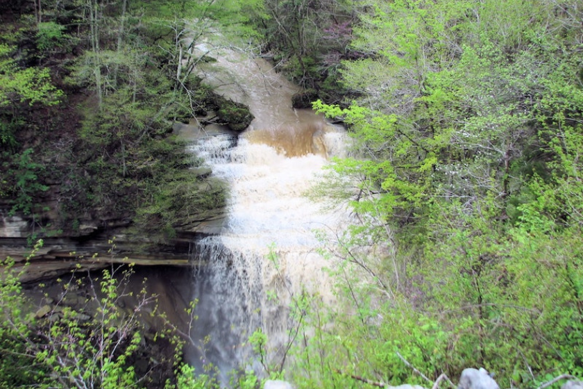 a large waterfall in a green forest at clifty falls state park