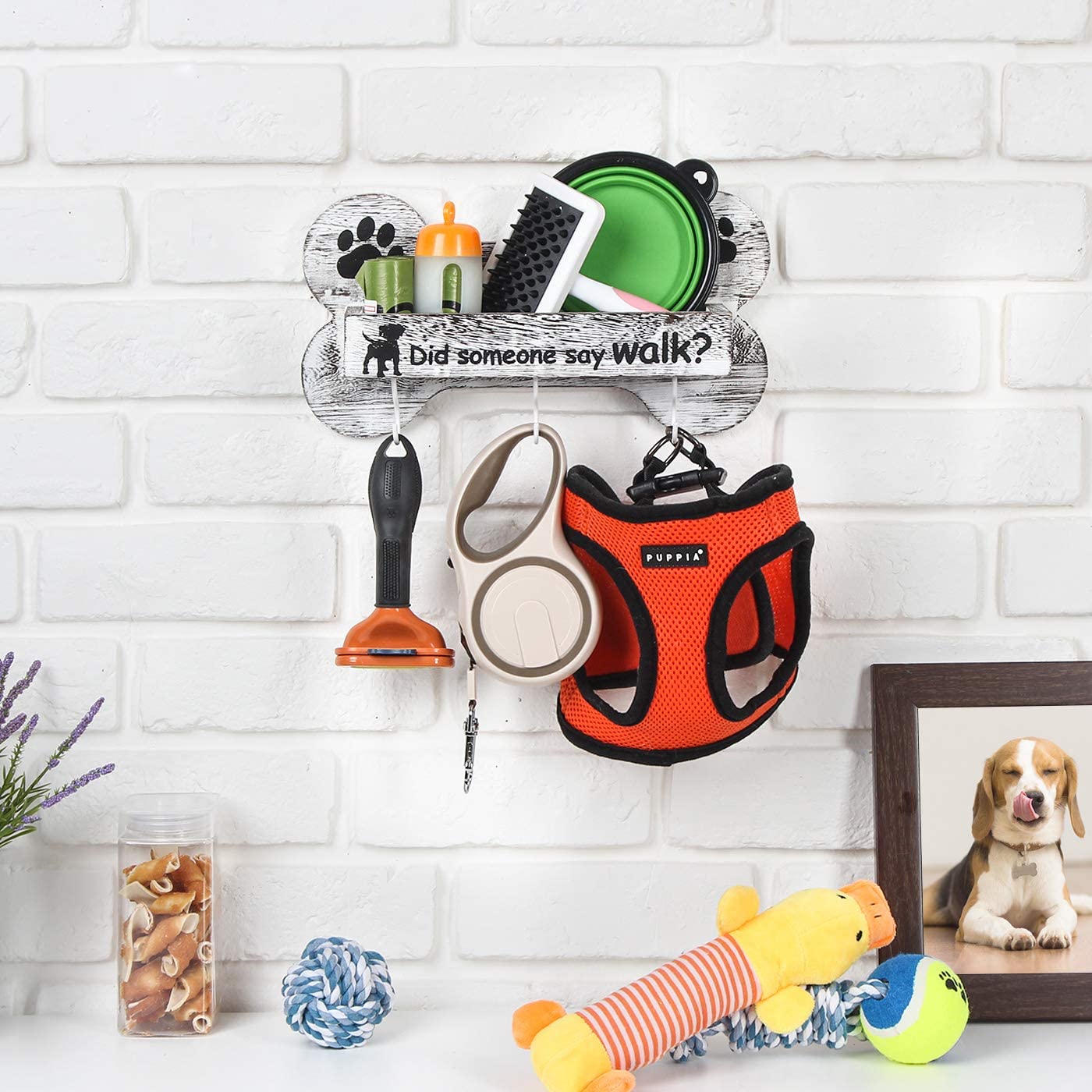 Dog Leash Holder 5 Adorable Options (Housewarming Gifts)
