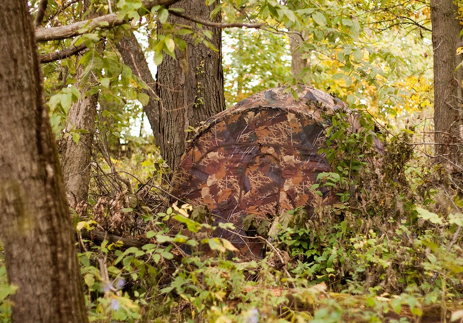 Ground Blind Hunting