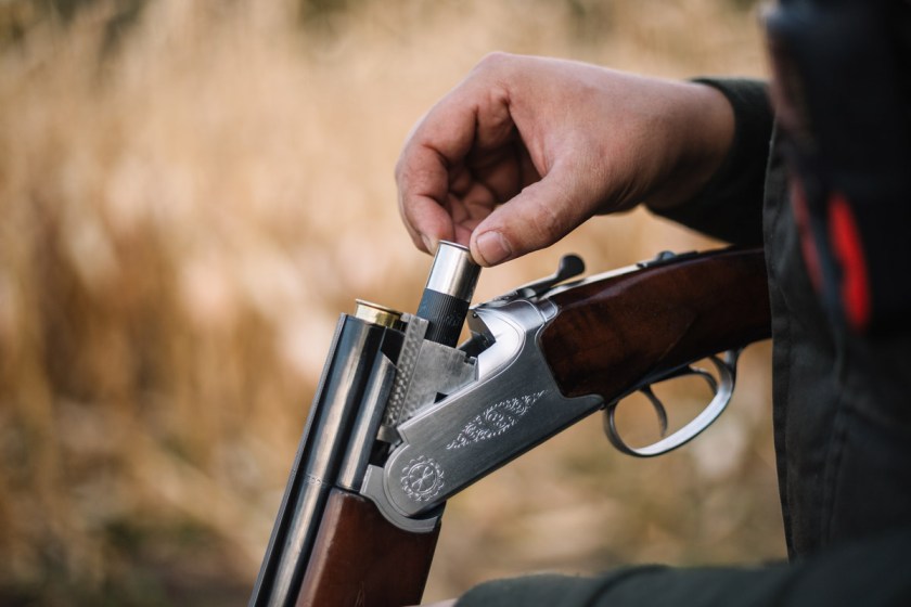 The 5 Best Quail Hunting Guns You Can Buy Wide Open Spaces