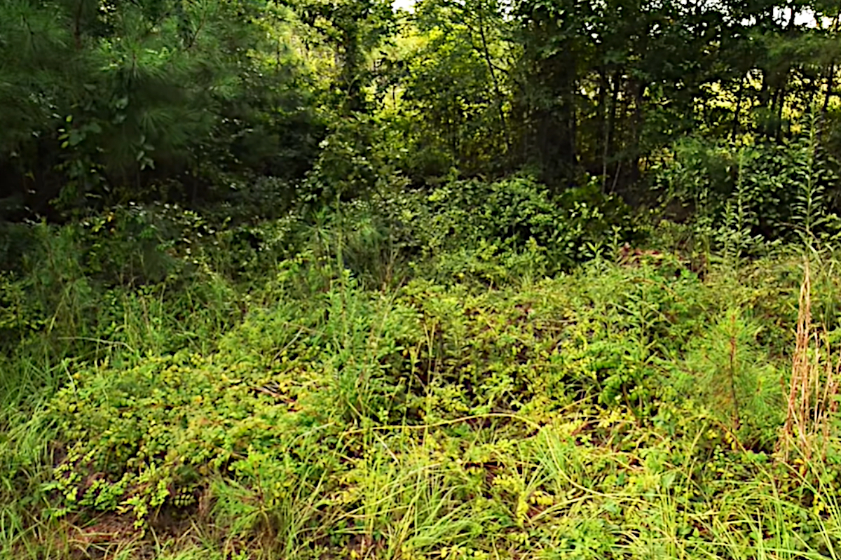 Sniper Camouflage