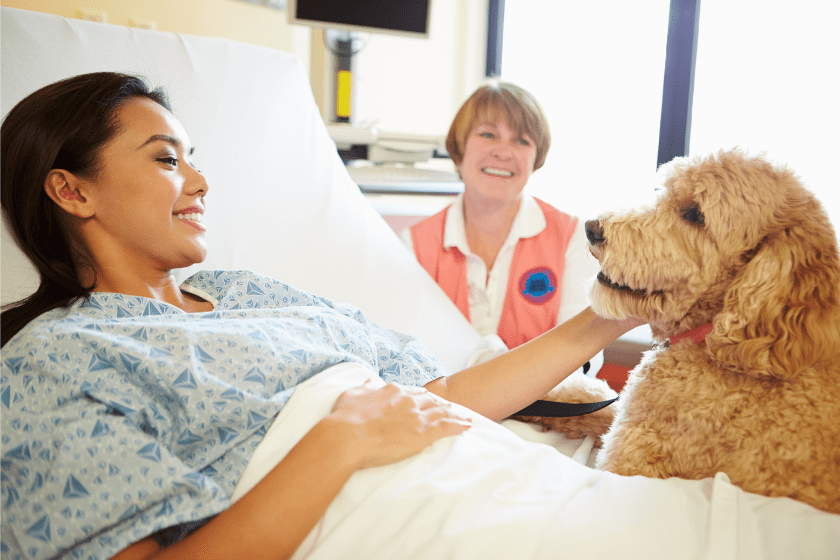 therapy dog does a hospital visit with a woman