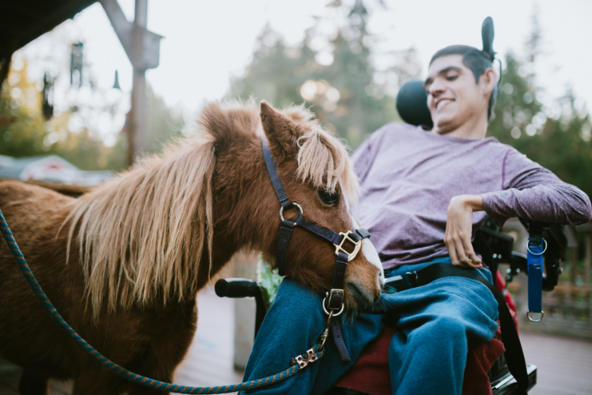 mini horse visits with young man