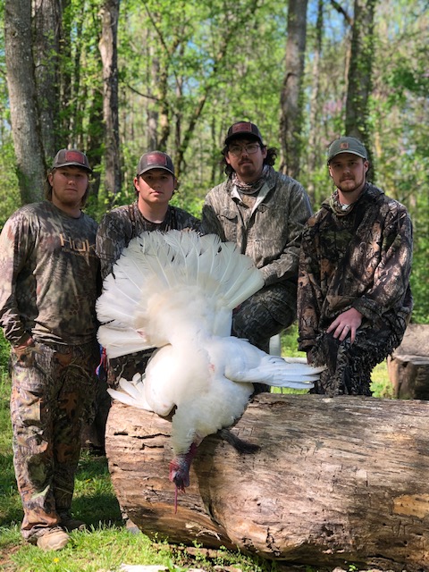 White Turkey