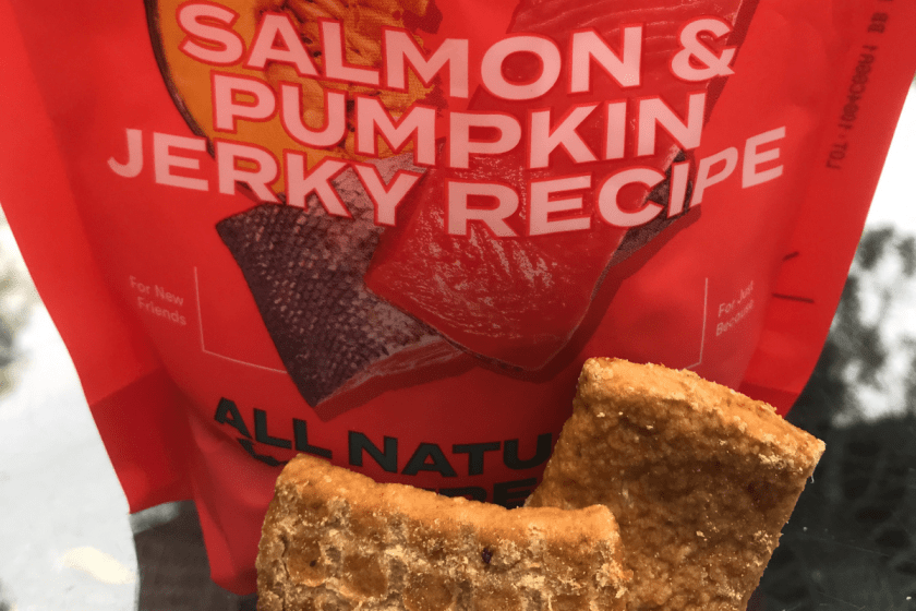 Jinx Dog Food 2021 Product Review Made Fresh for the Modern Dog