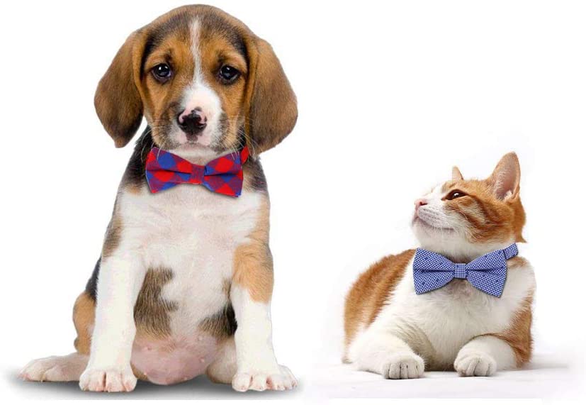 bow ties for dogs