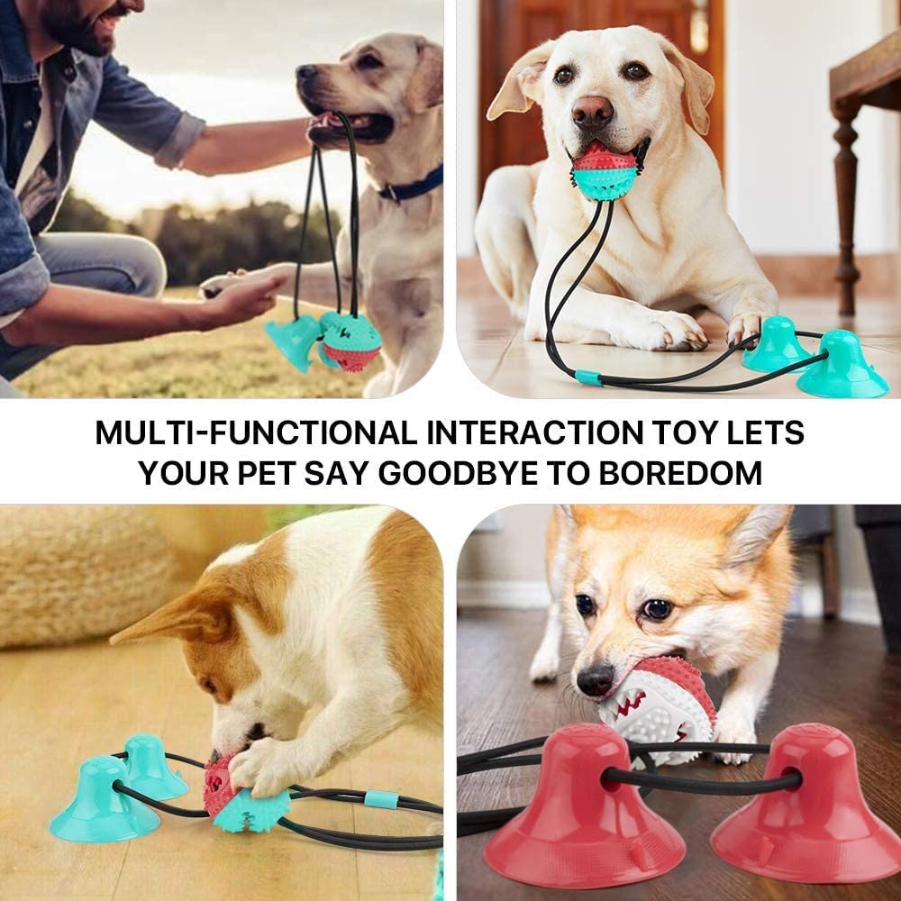 Suction Cup Dog Toy, Pet Molar Bite Toy with Double Suction Cup, Dog Chew Rope Ball Pull Toy for Aggressive Chewers, Fits for Small, Large Dogs/Cats