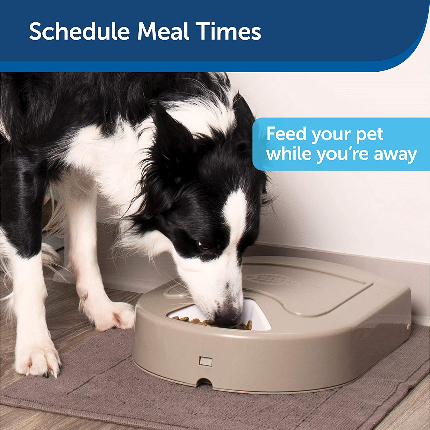 PetSafe 5 Meal Pet Feeder - Cat and Dog Feeder - Schedule 5 Meals with Digital Timer - 5 Cup Capacity