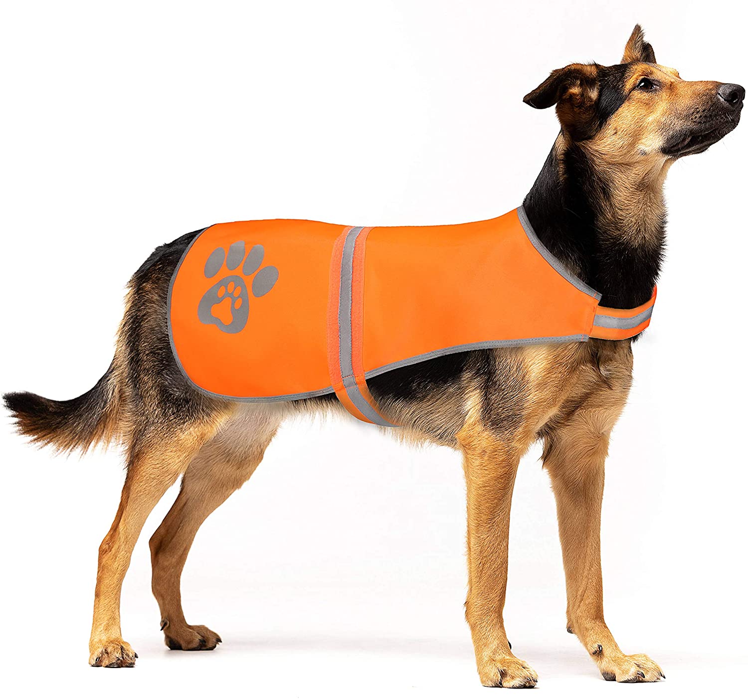 SPOFLY Reflective Safety Dog Vest, High Visibility Keep Dogs Visible Outdoor Activity Day and Night, Hunting and Walking, Dog Jacket for Small Medium and Large Dogs (Blaze Orange, L)