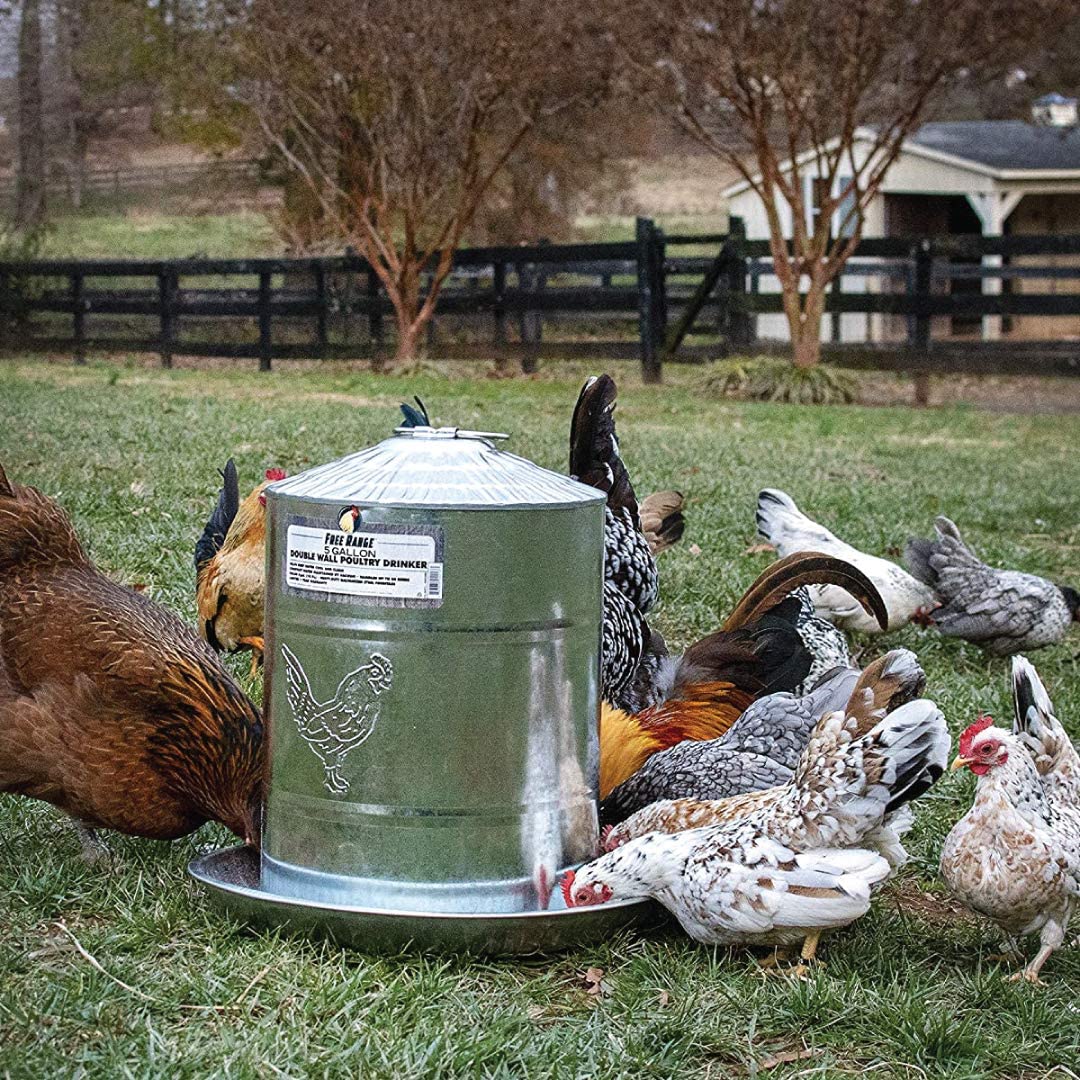 Harris Farms Double Wall Poultry Drinker