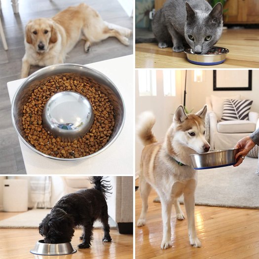 slow feeder dog bowl