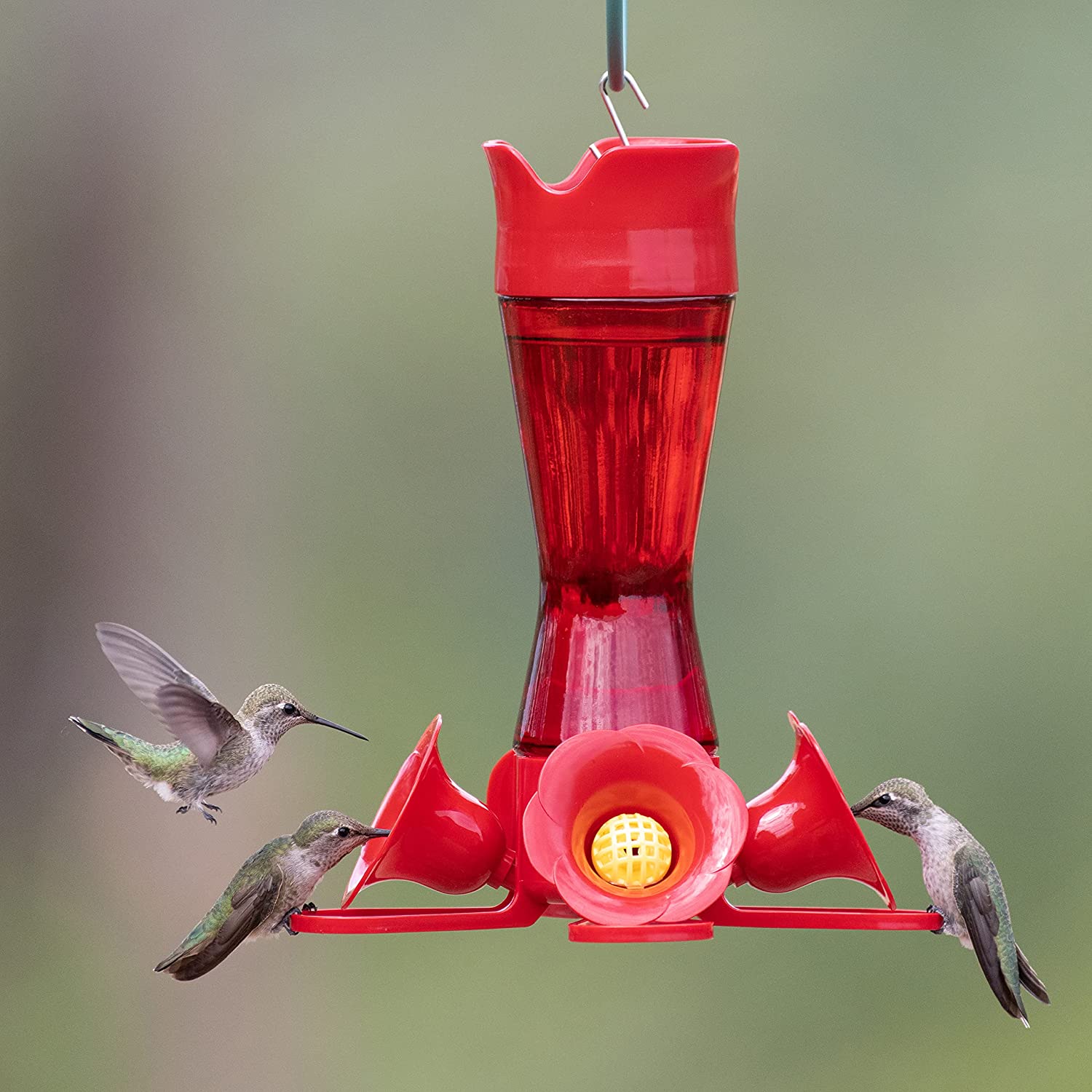 Perky-Pet 203CPBR Pinchwaist Hummingbird Feeder, Red Glass