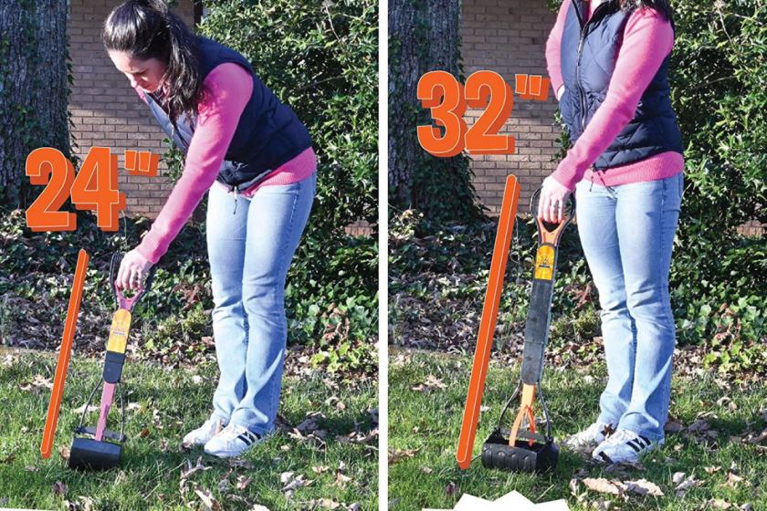 2 Best Dog Pooper Scoopers of 2021 for Dog Walking & Backyards