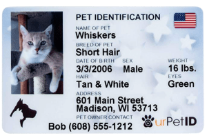 Pet ID Tag