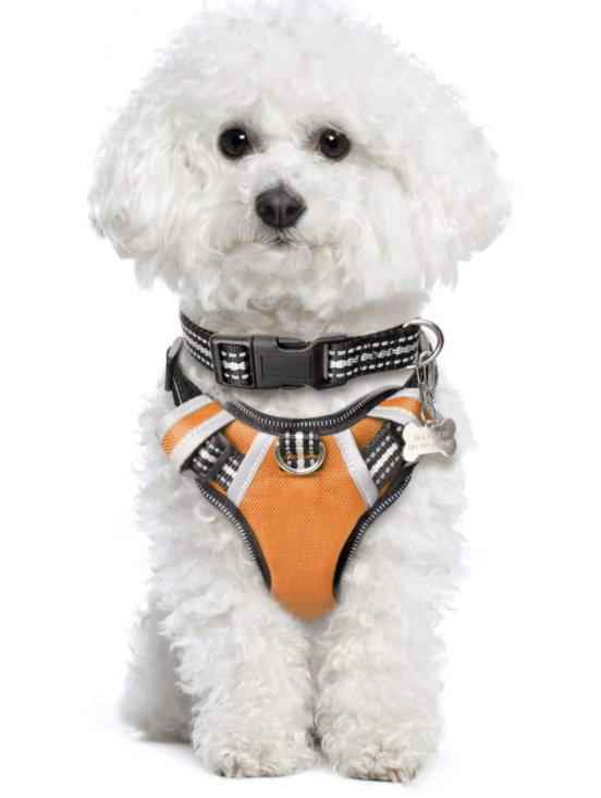 Winsee Dog Harness