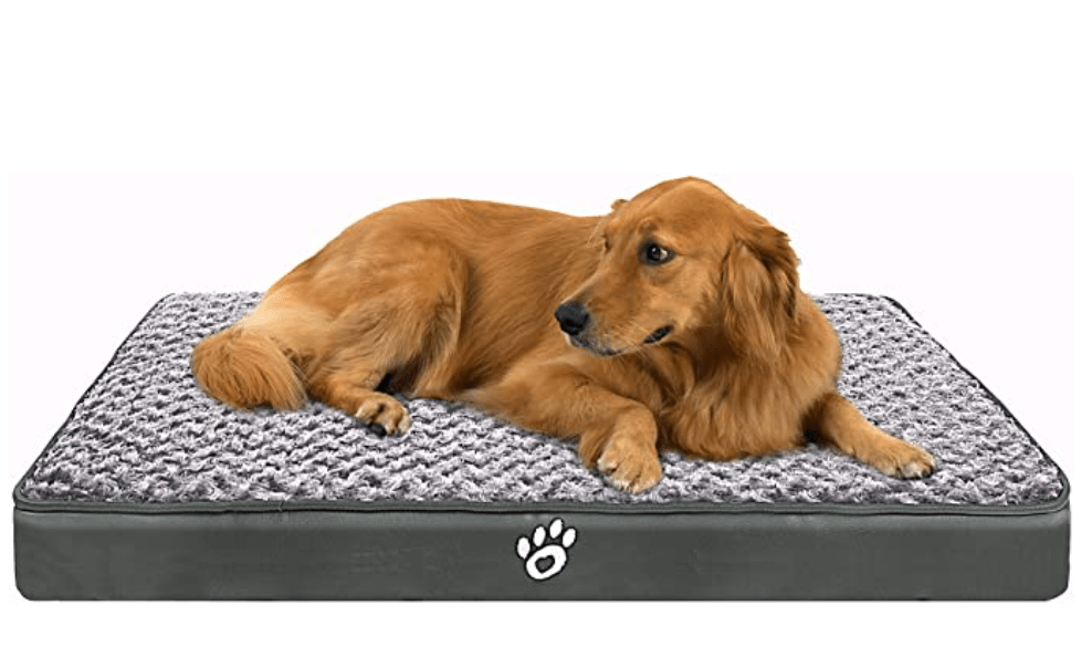 CLOUDZONE orthopedic dog bed
