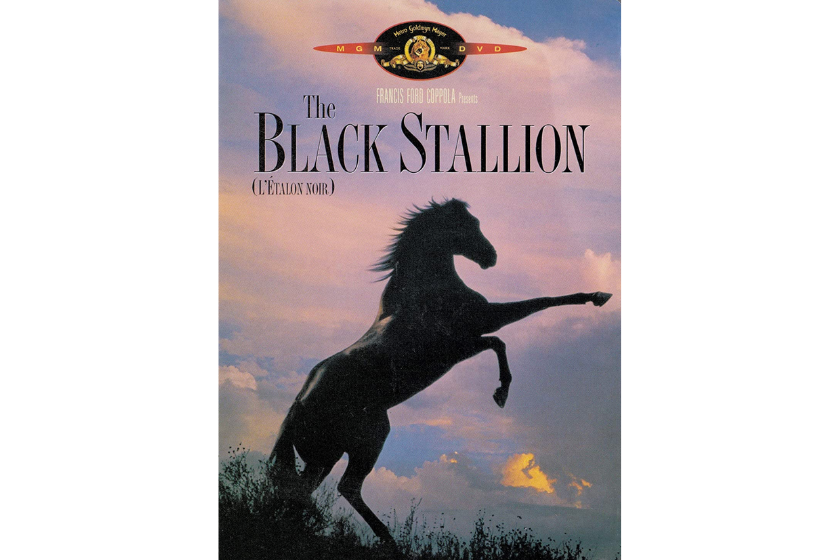 The Black Stallion