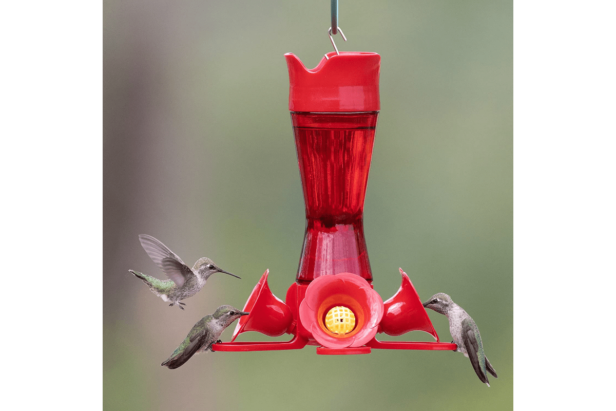 Perky Pet Hummingbird Feeder Actually Attracts Hummingbirds
