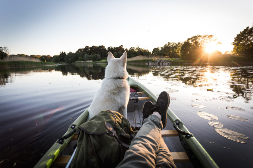 dog and man relaxing in boat avoiding sunburn