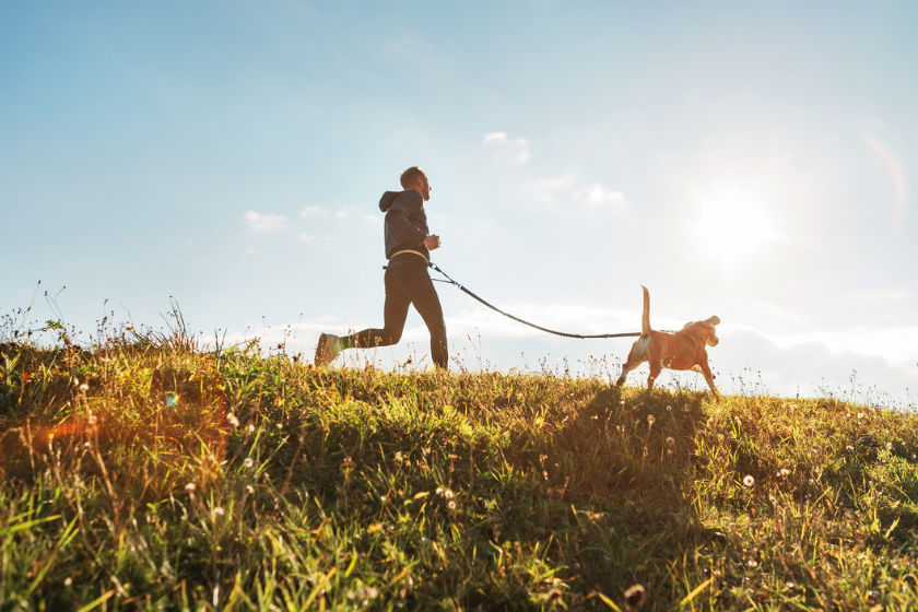 dog jogging with man sunburn in dogs