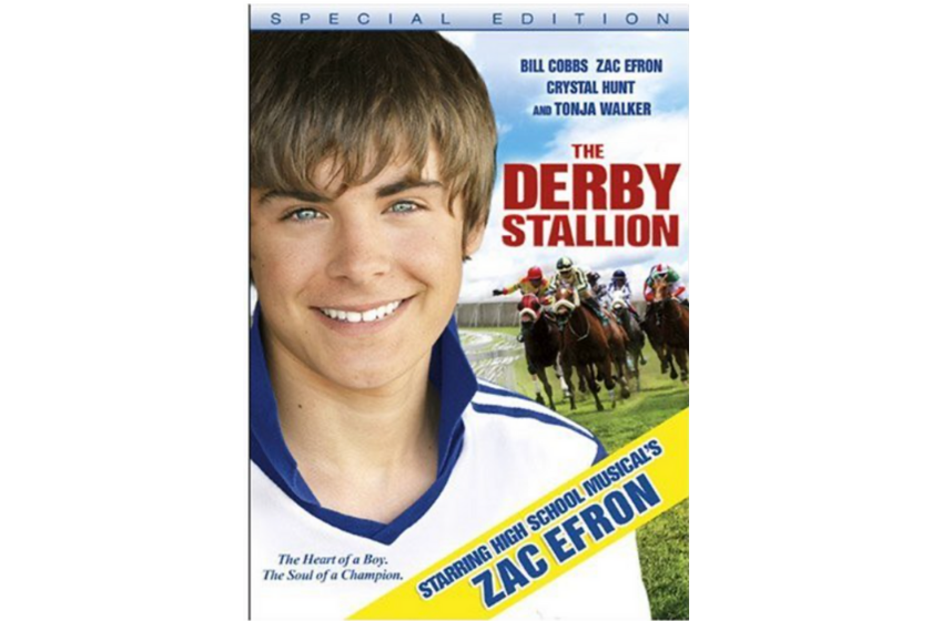 The Derby Stallion