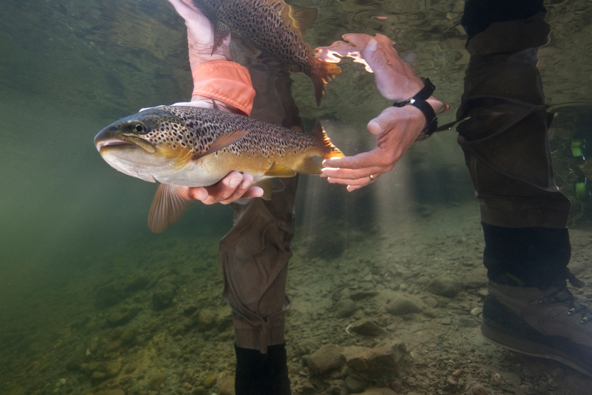 Best Fishing States West of the Rockies