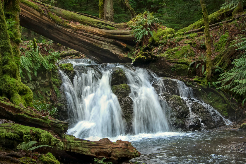 Waterfalls in a Washington State Park