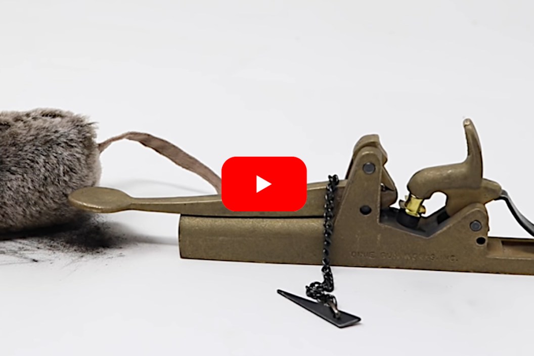 Cannon Mouse Trap