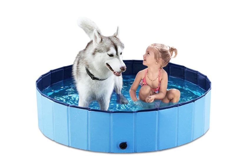 how to keep dog cool in summer — dog pool