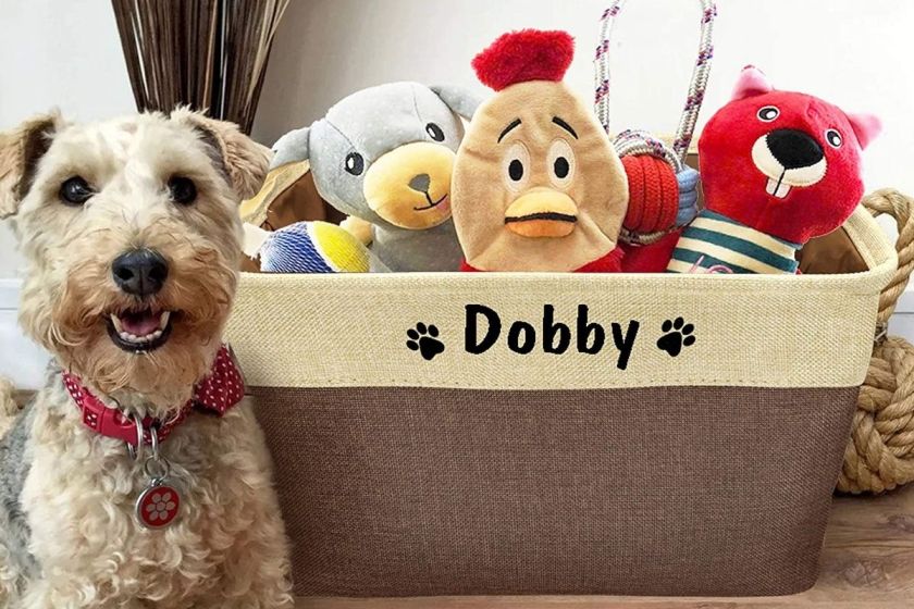 5 Most Stylish Dog Toy Baskets of 2022 for Easy Storage, Budget, & More
