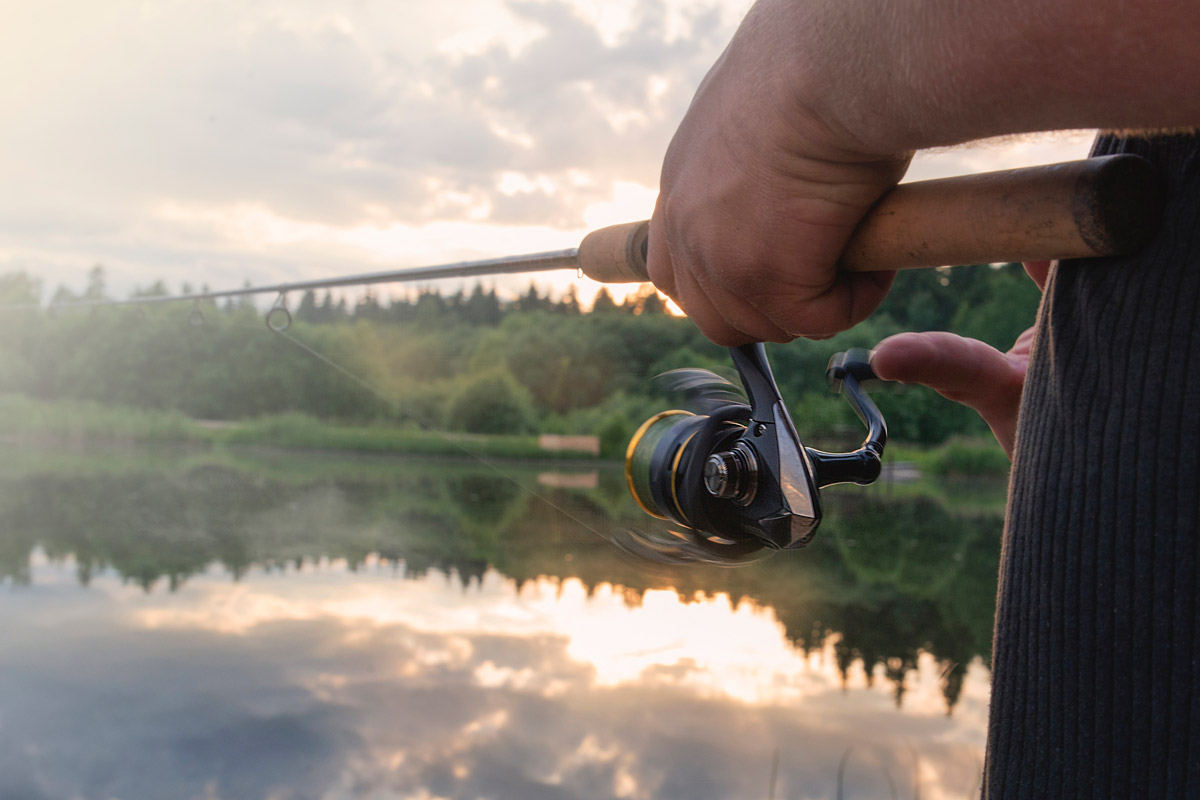 fishing rod