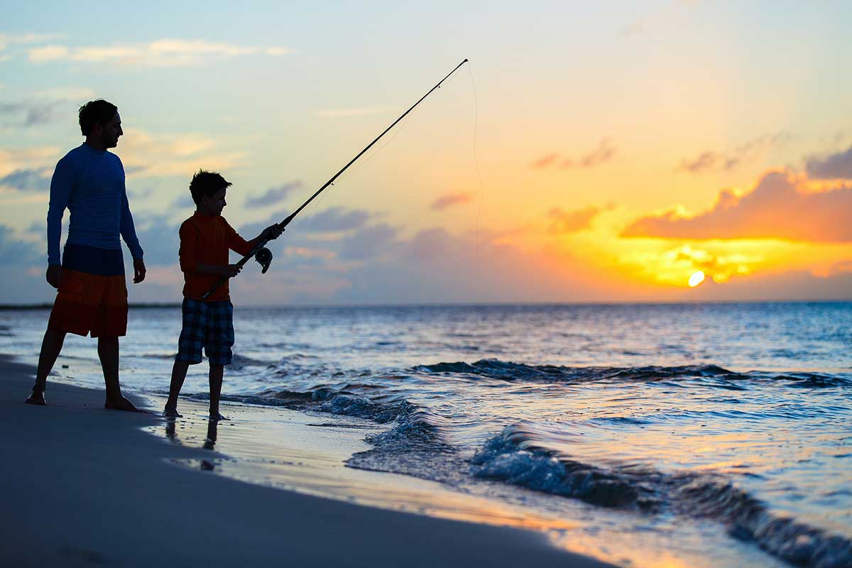 Best Saltwater Fishing Gear for Beginners of 2021 Affordable & High