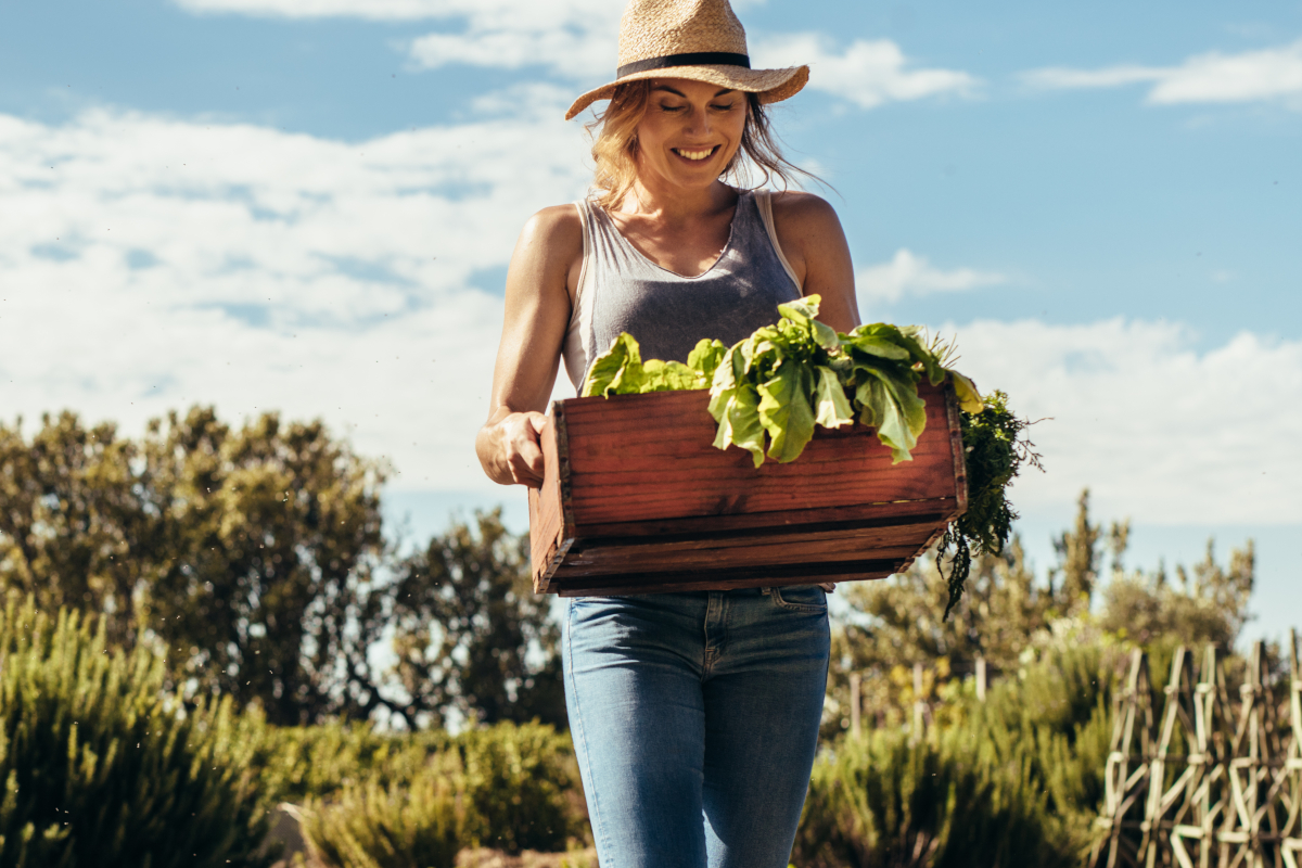 Homestead Crops