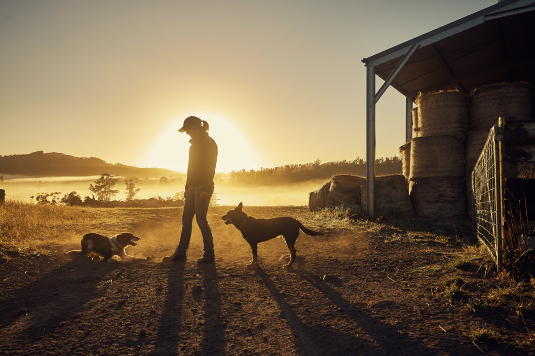 Woman and her dogs on a homestead.