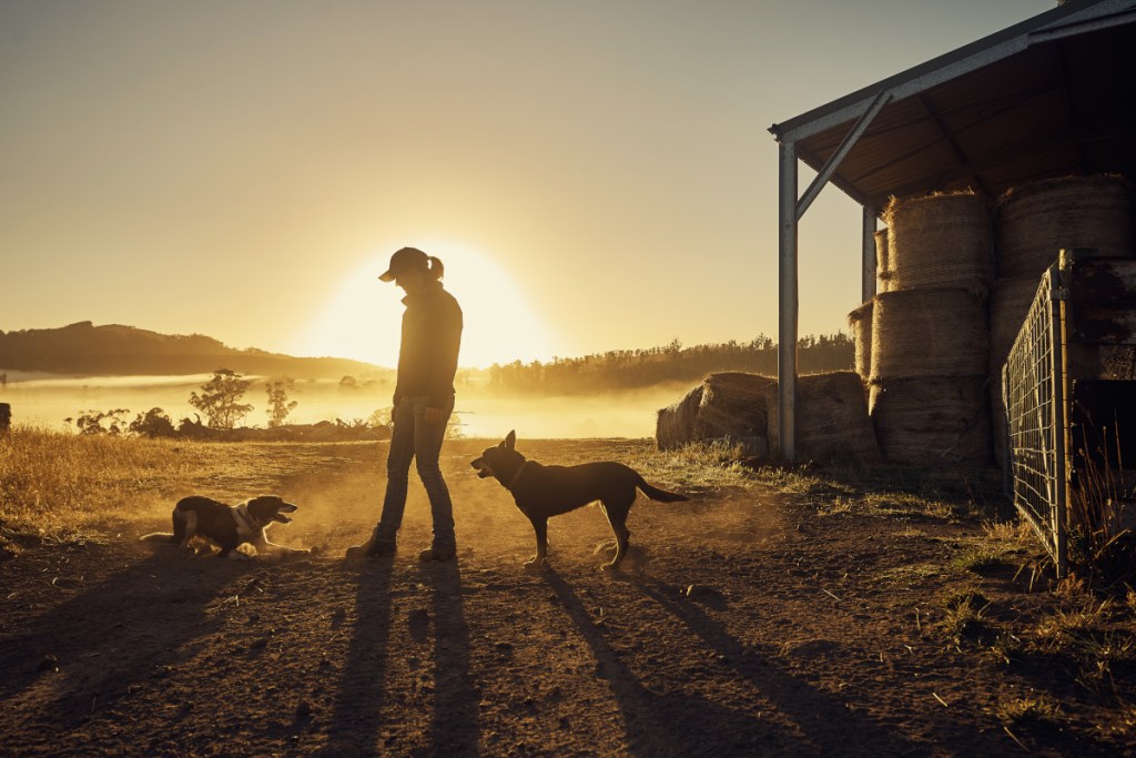 Woman and her dogs on a homestead.