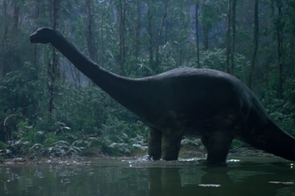 Mokele-mbembe – a dinosaur in Africa?