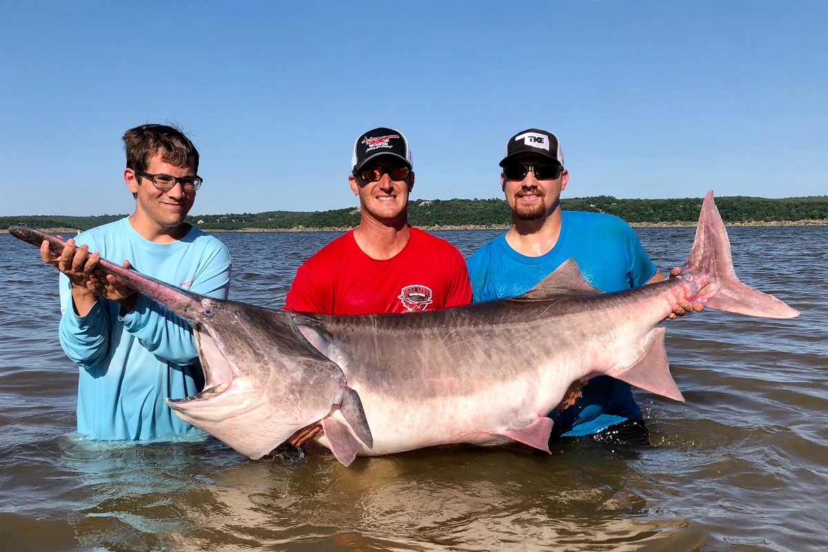 World Record Paddlefish
