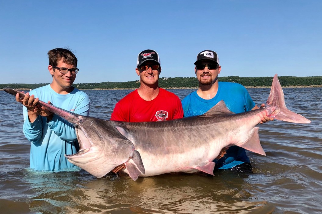 World Record Paddlefish