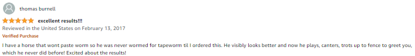 customer review