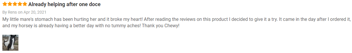 customer review