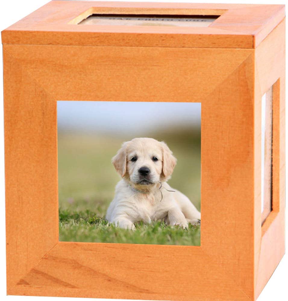 Pet Urn Box With Photo
