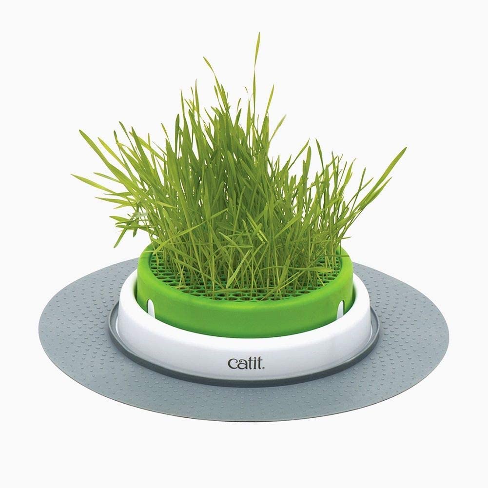  Catit Senses 2.0 Grass Planter