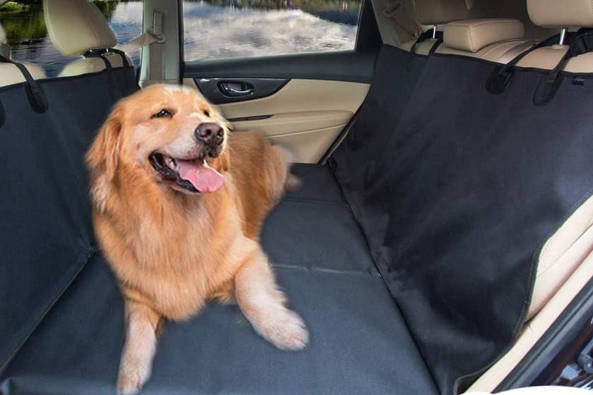 Backseat extender for dogs